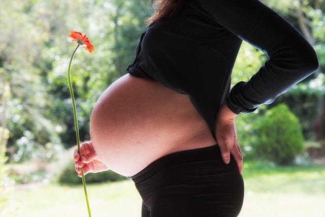 pregnancy